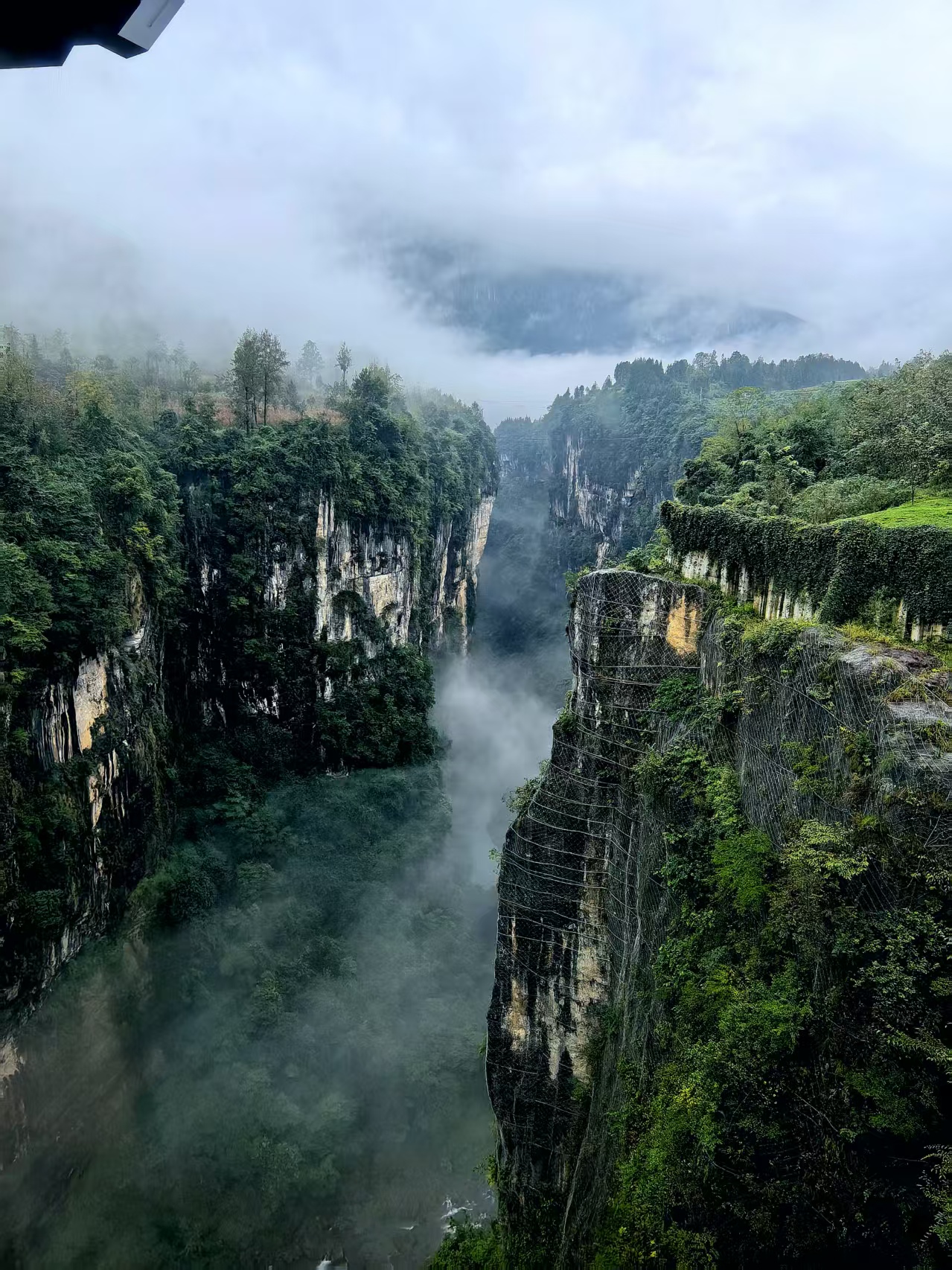 微信图片_20251008190236_36_97.jpg